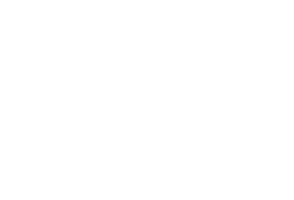 Case Bee Delivery